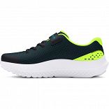 UA BPS Surge 4 AC