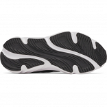 UA BGS Rogue 6