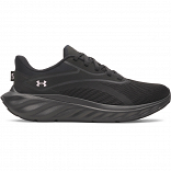 UA W Ascend