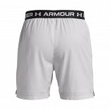 UA Vanish Woven 6in Shorts