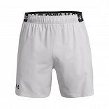UA Vanish Woven 6in Shorts