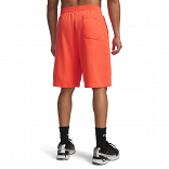 UA Rival LW Graphic Shorts