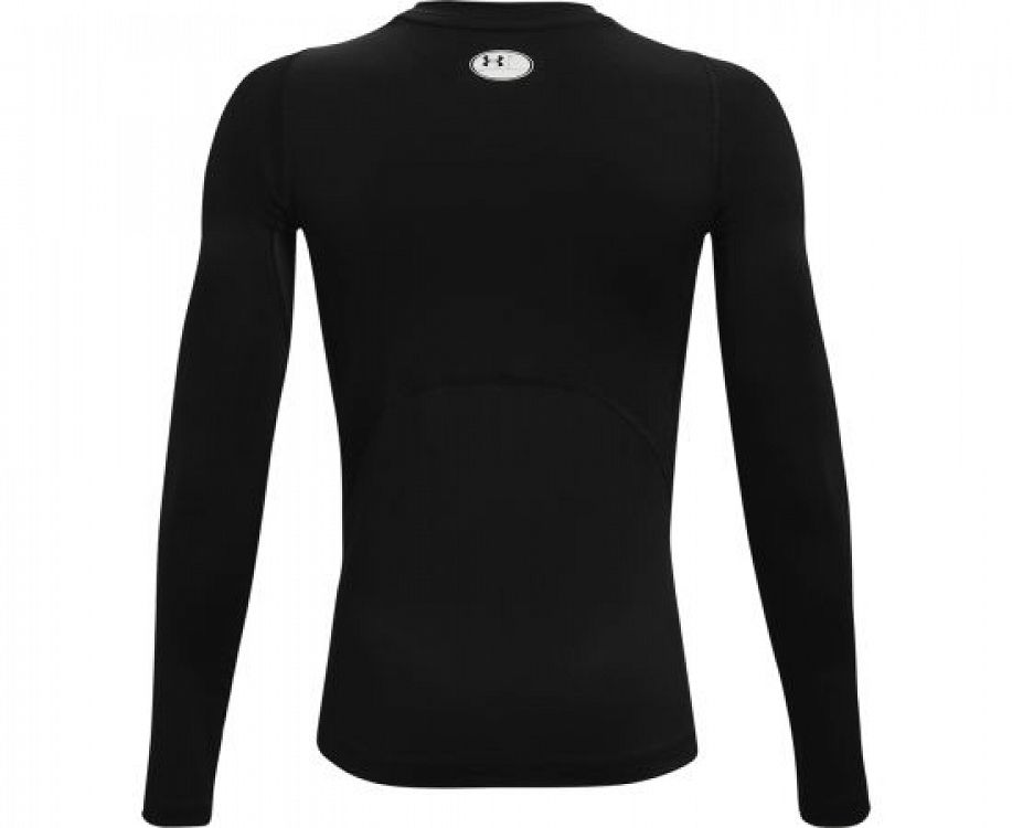 UA HG Armour LS