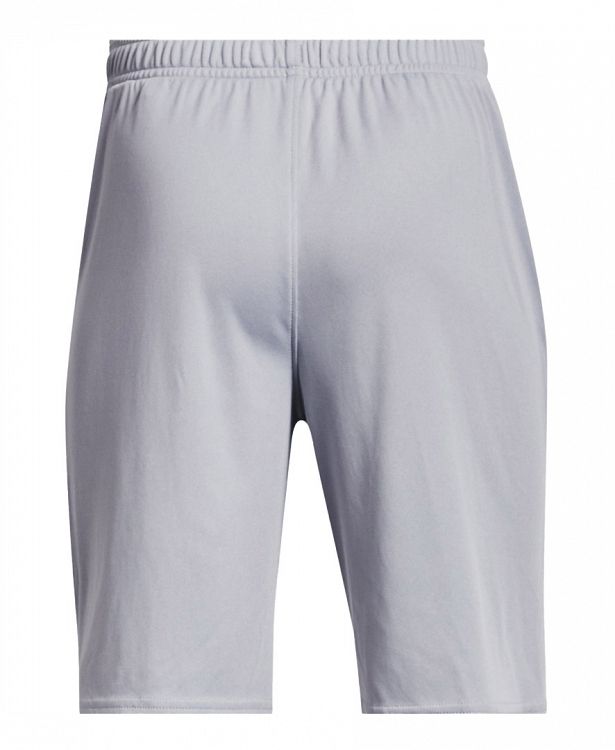 UA Prototype 2.0 Logo Shorts