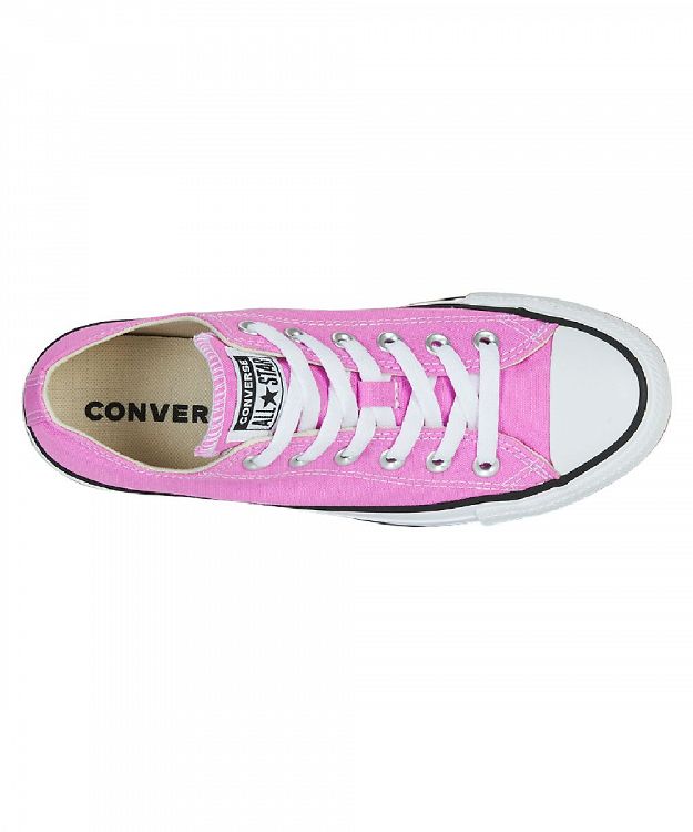 CHUCK TAYLOR ALL STAR SEASONAL