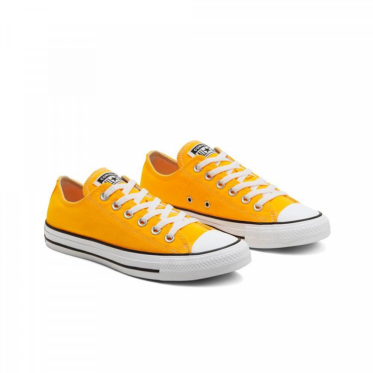 CHUCK TAYLOR ALL STAR SEASONAL