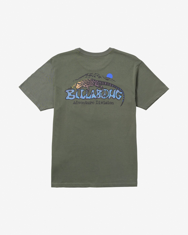 LIZARD MOUNTAIN ADIV SS