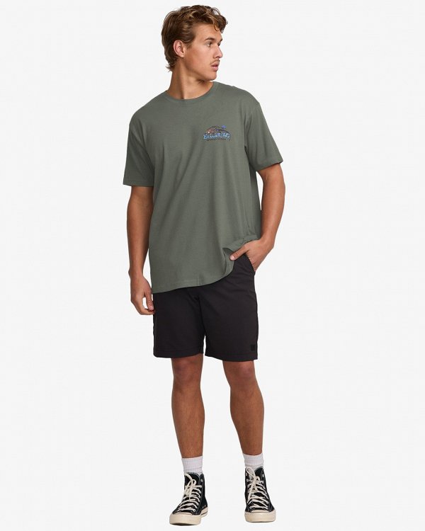 LIZARD MOUNTAIN ADIV SS
