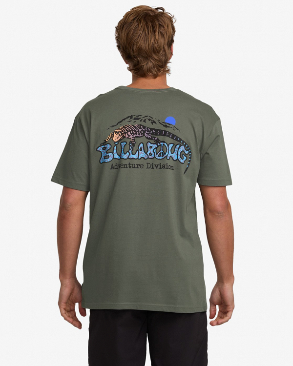 LIZARD MOUNTAIN ADIV SS