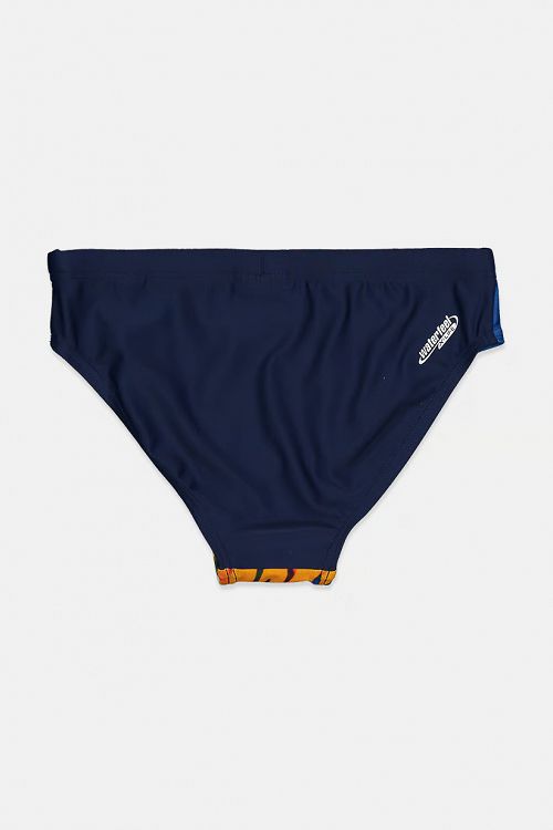 ARENA BRAZIL JR BRIEF