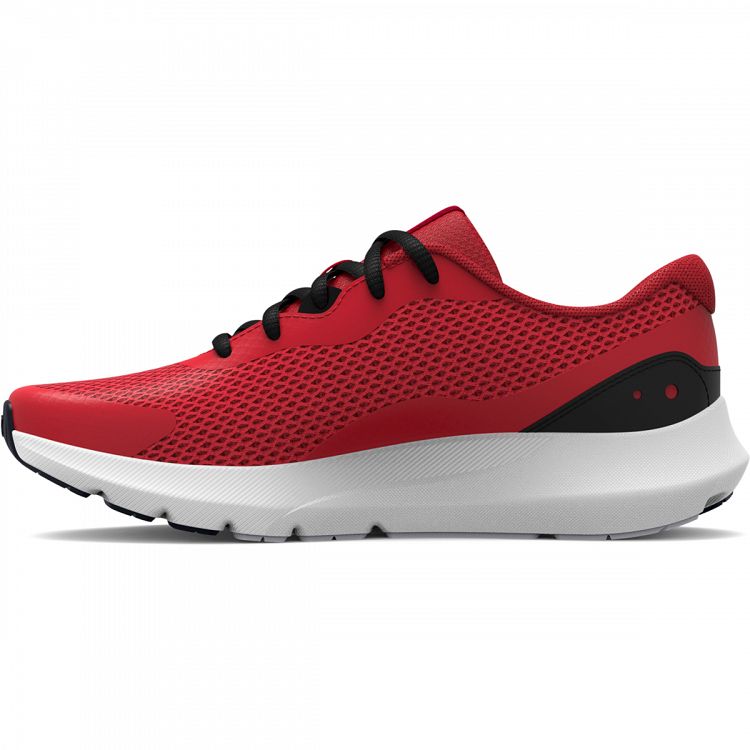 BGS Surge 3