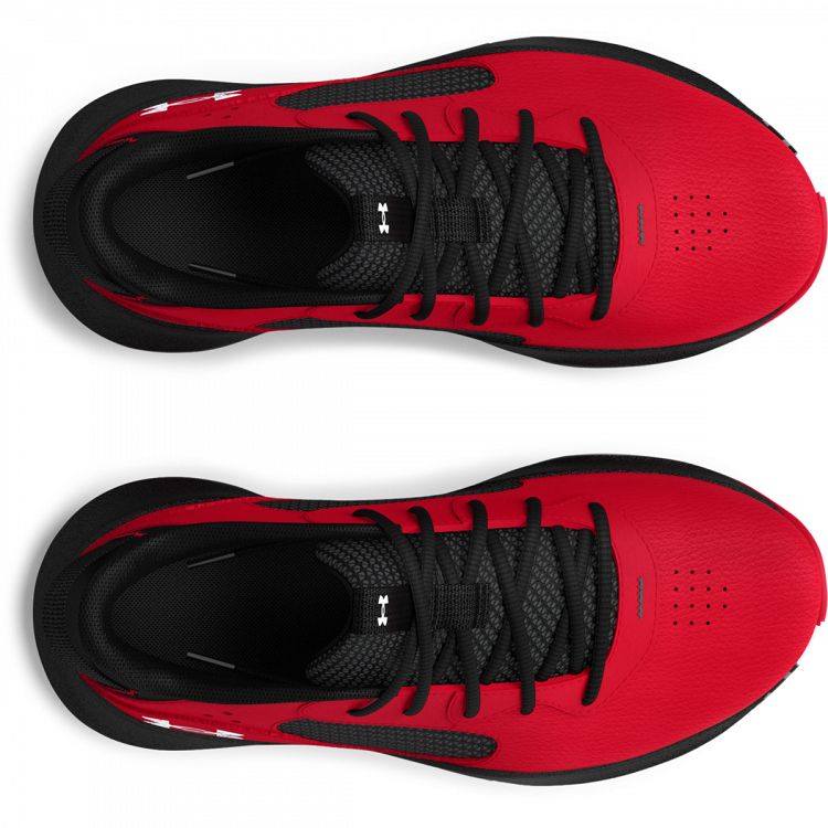 UA PS Lockdown 6