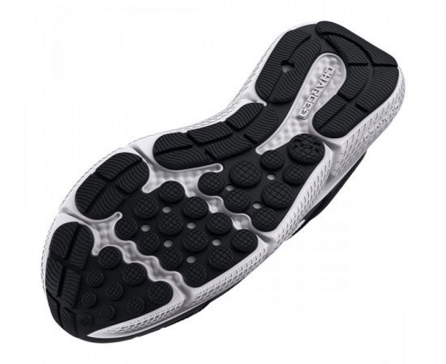 UA BGS Assert 10