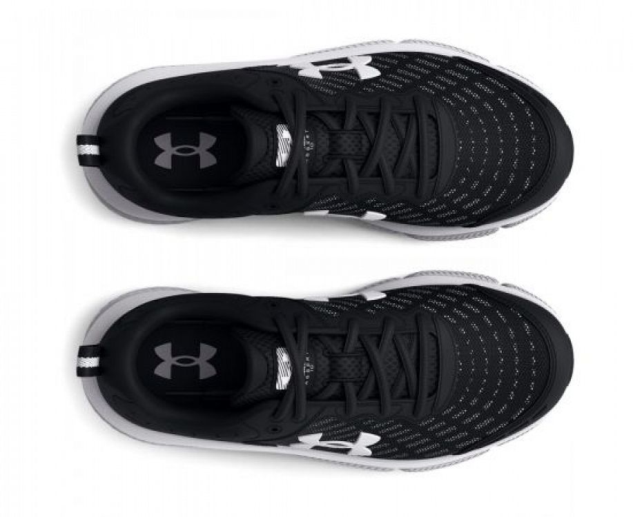 UA BGS Assert 10