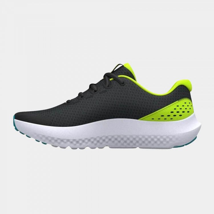 UA BGS Surge 4