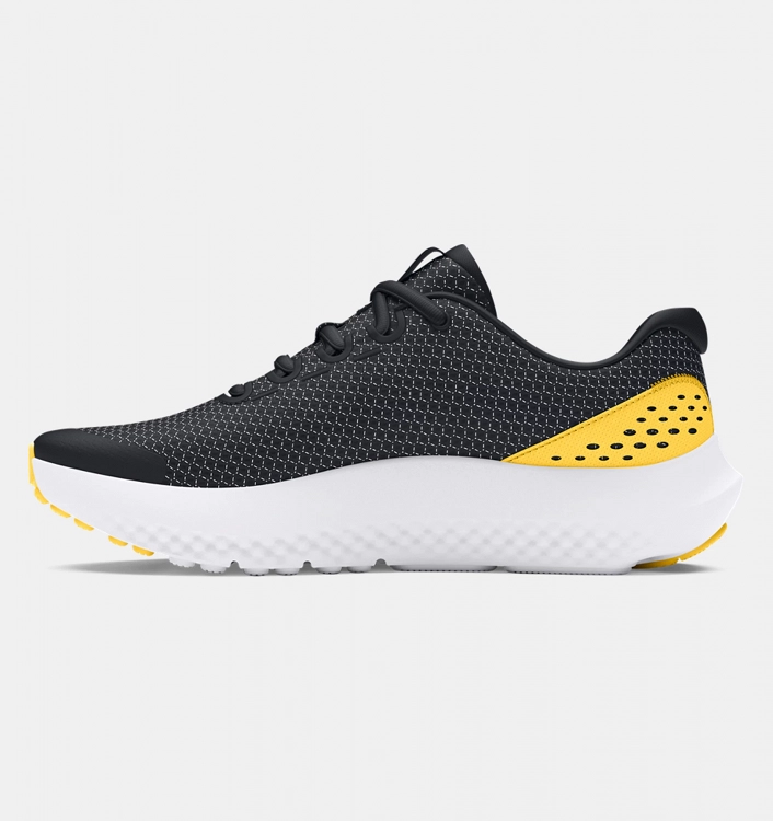 UA BGS Surge 4