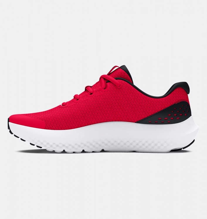 UA BGS Surge 4