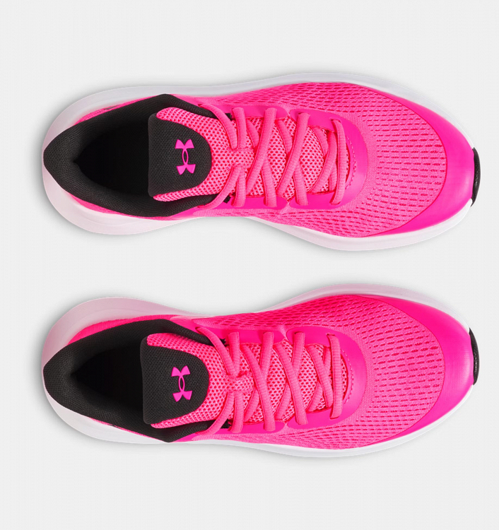 UA GGS Rogue 5