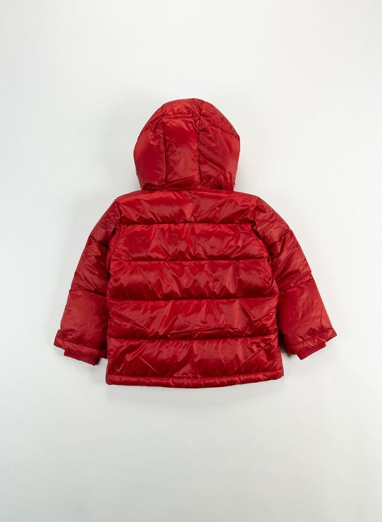 Hooded Jacket