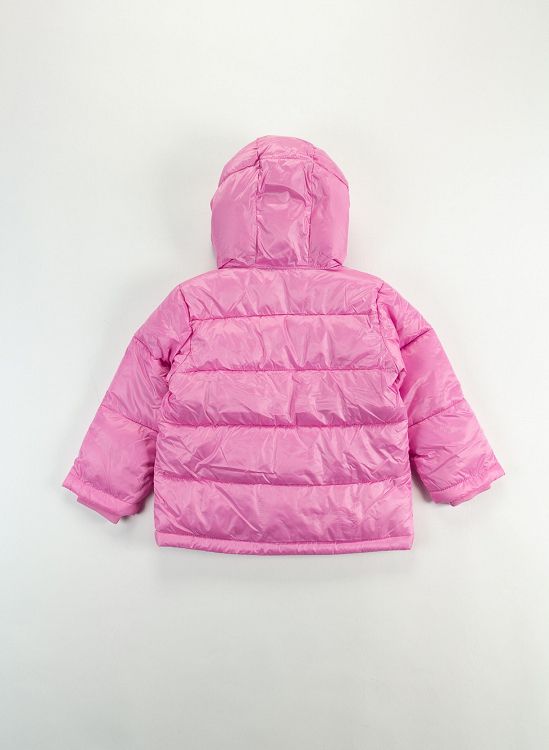Hooded Jacket
