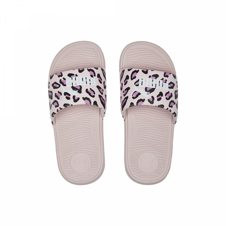 Cool Cat 2.0 Summer Roar Jr BX