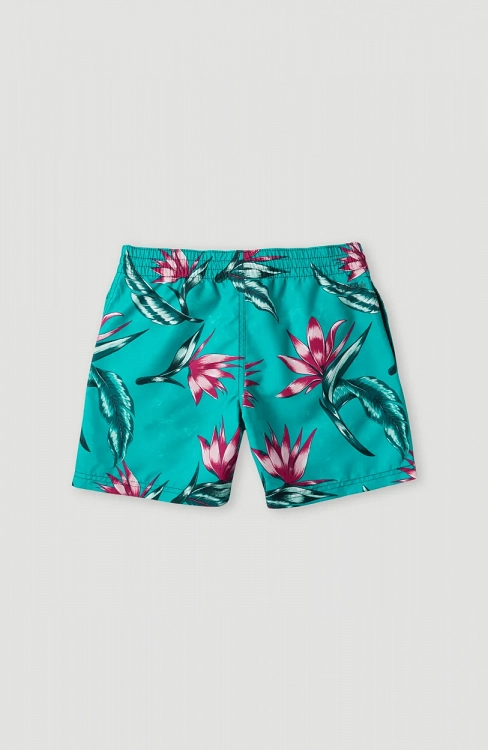 PRINT SHORTS
