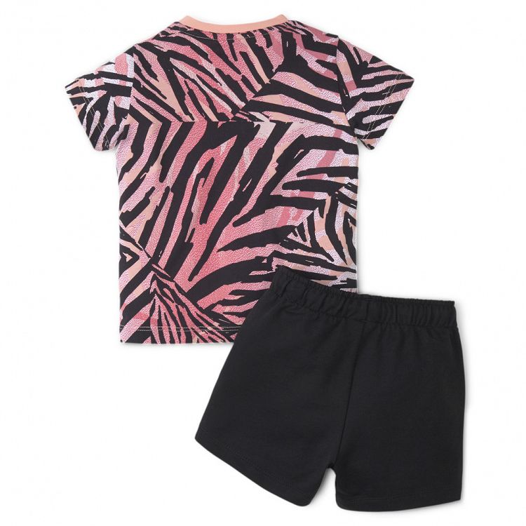 Minicats Classics Set