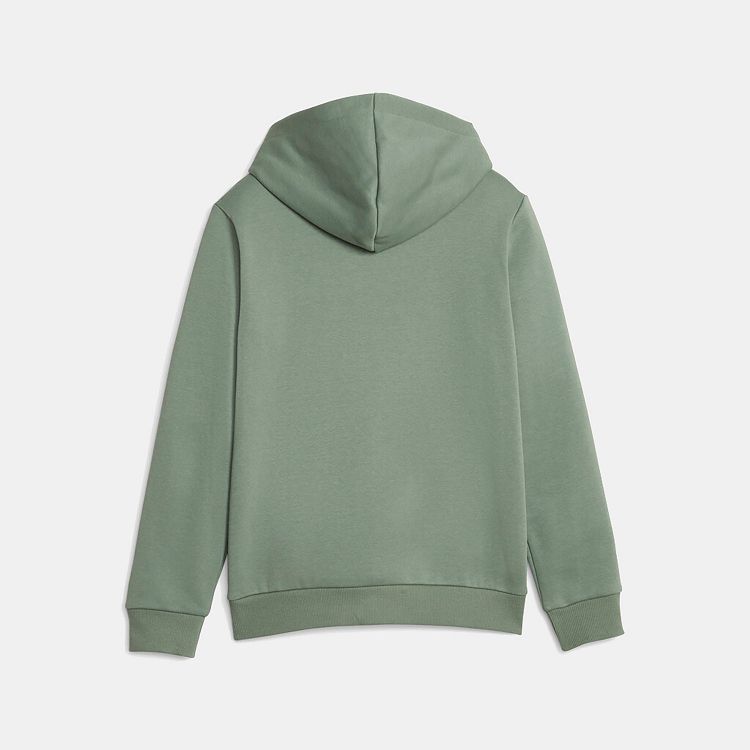 ESS Big Logo Hoodie FL B