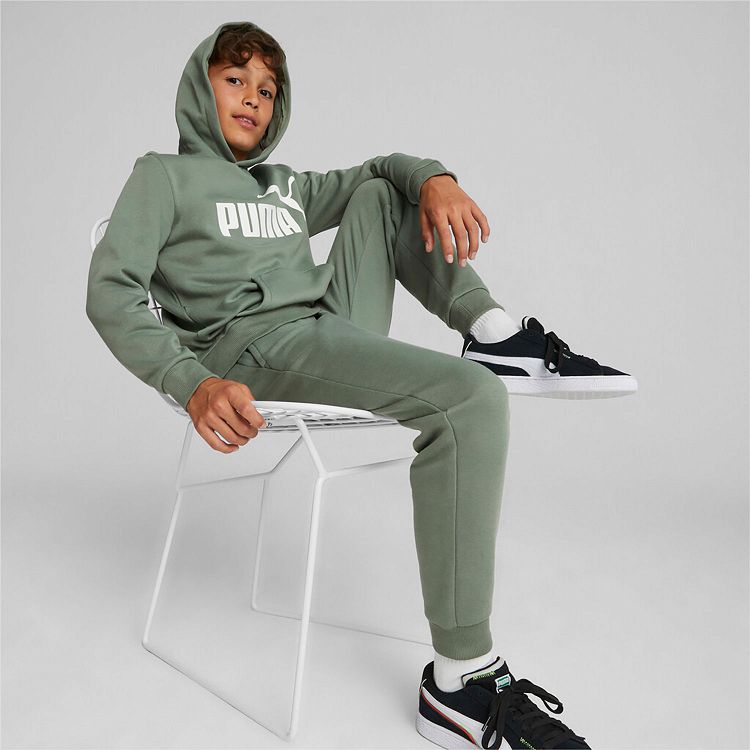 ESS Big Logo Hoodie FL B
