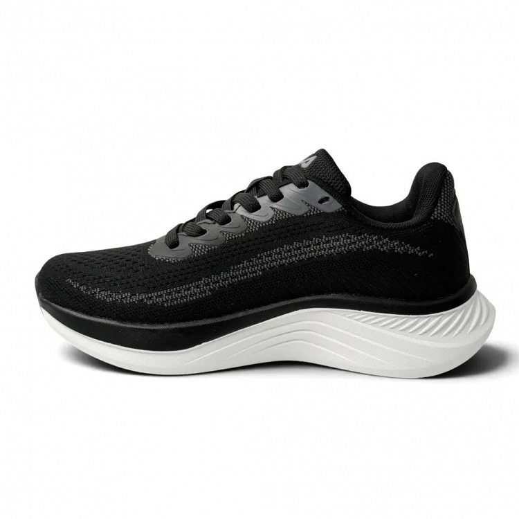 Palau 6 Nanobionic