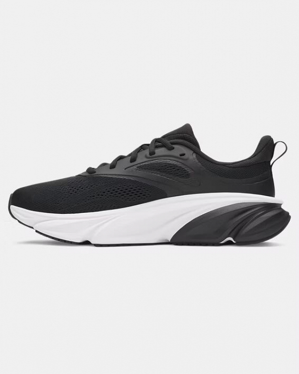 UA Rogue 6