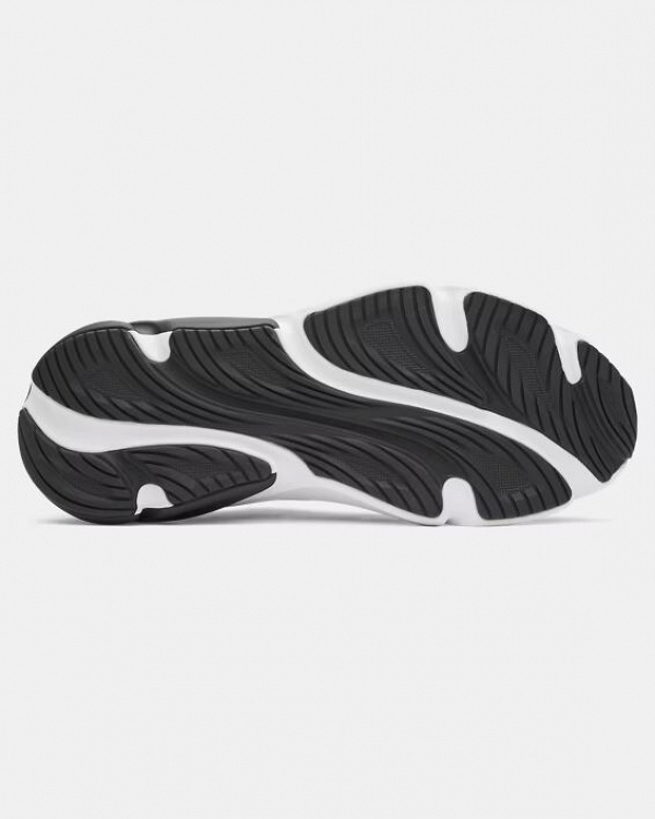 UA Rogue 6