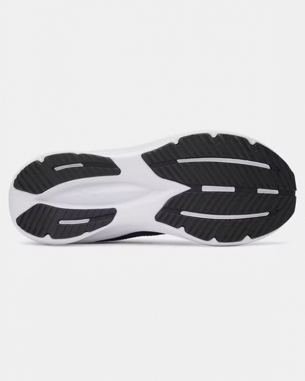 UA BGS Assert 11