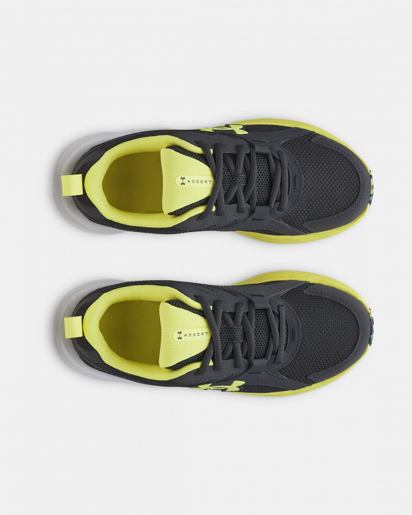 UA BGS Assert 11