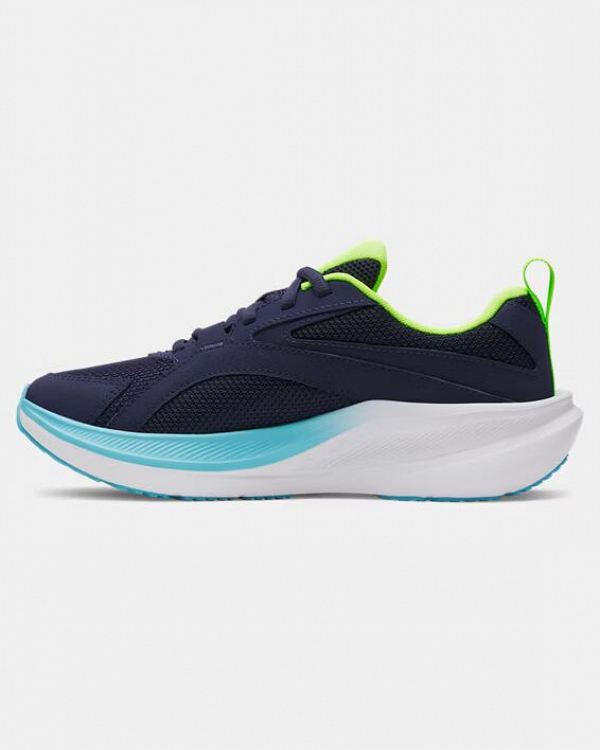 UA BGS Assert 11
