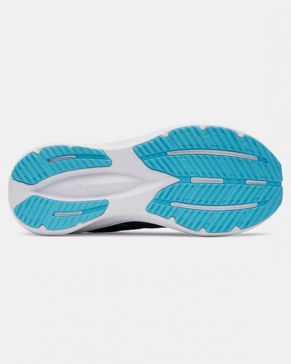 UA BGS Assert 11