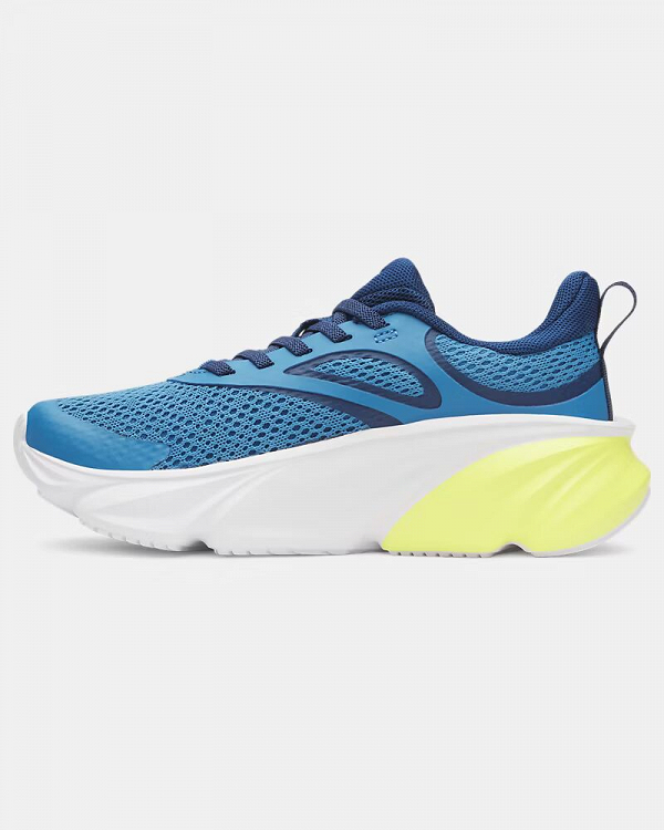 UA BPS Rogue 6 AL