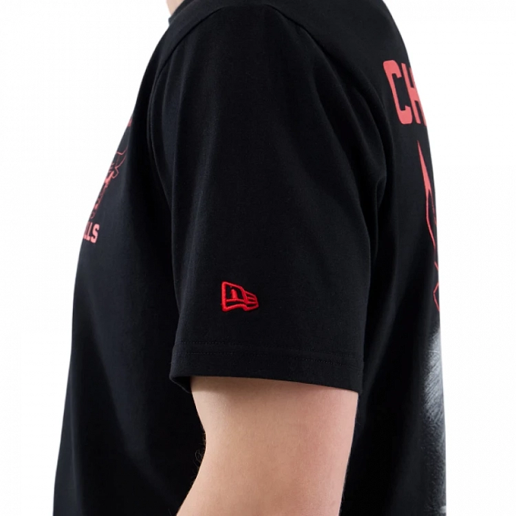 NBA COURT GRAPHC REG TEE CHIBUL