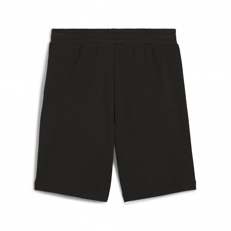 ESS No. 1 Logo Shorts 10"