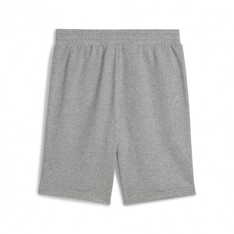 ESS No. 1 Logo Shorts 10"