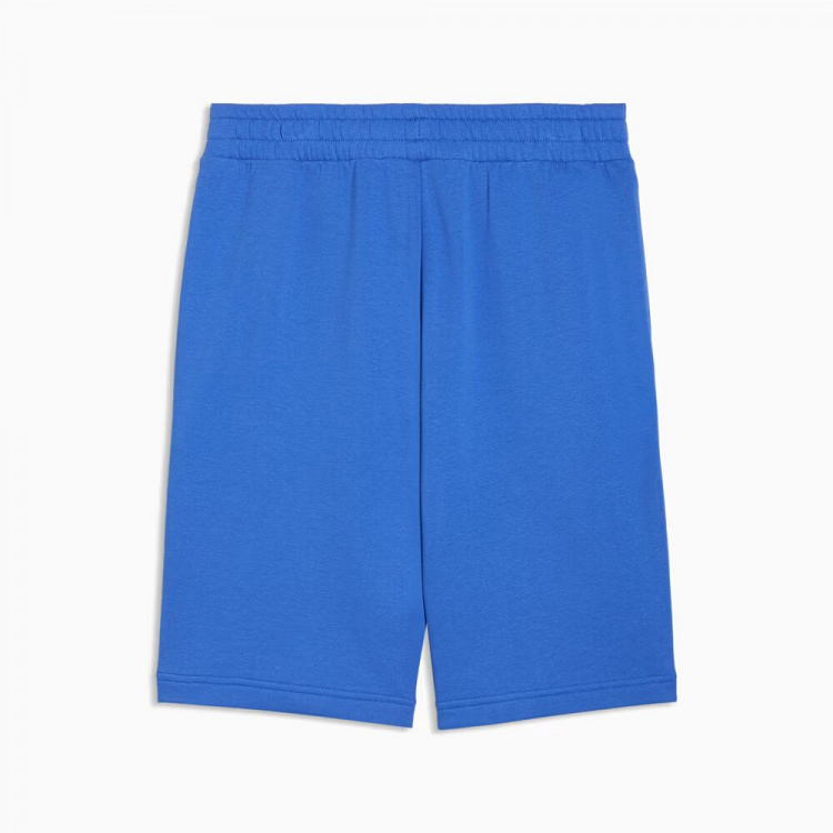 ESS No. 1 Logo Shorts 10" (s)