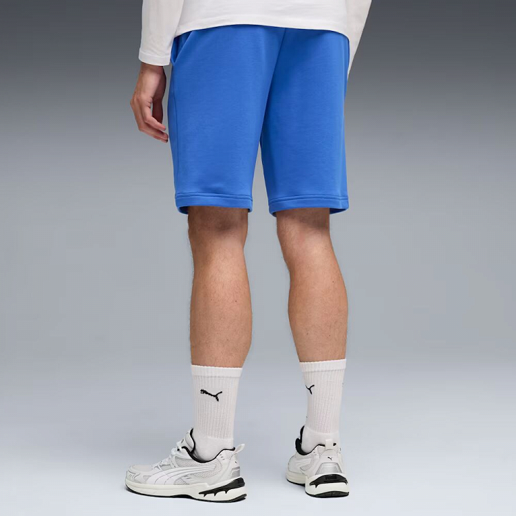 ESS No. 1 Logo Shorts 10" (s)