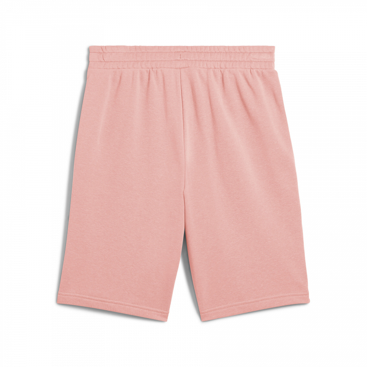 ESS 2 COLOR No. 1 Logo Shorts 10" TR