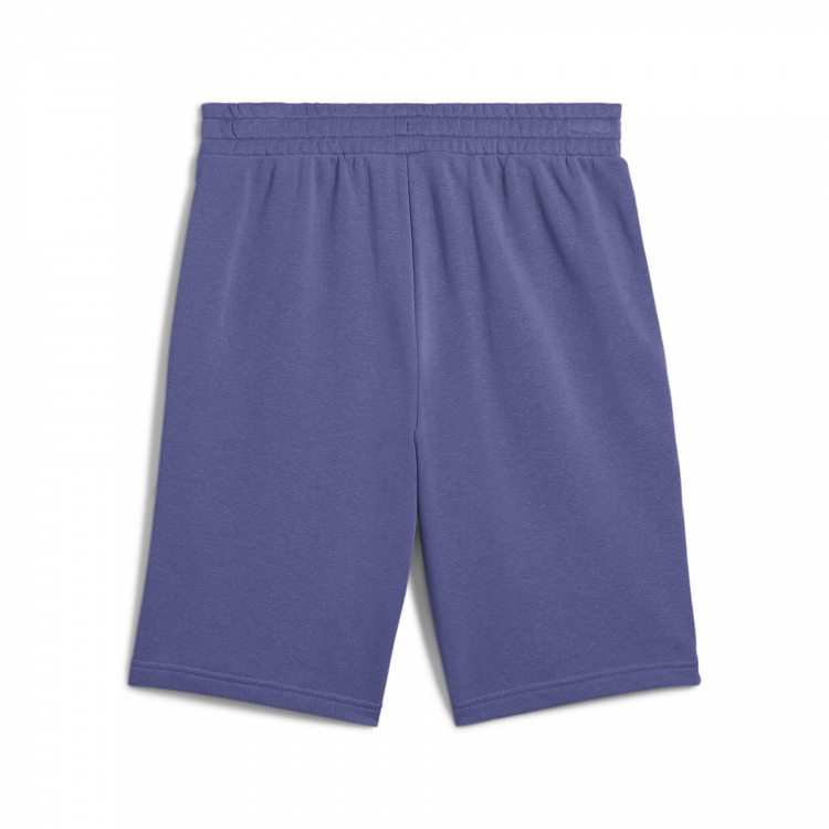 ESS 2 COLOR No. 1 Logo Shorts 10" TR