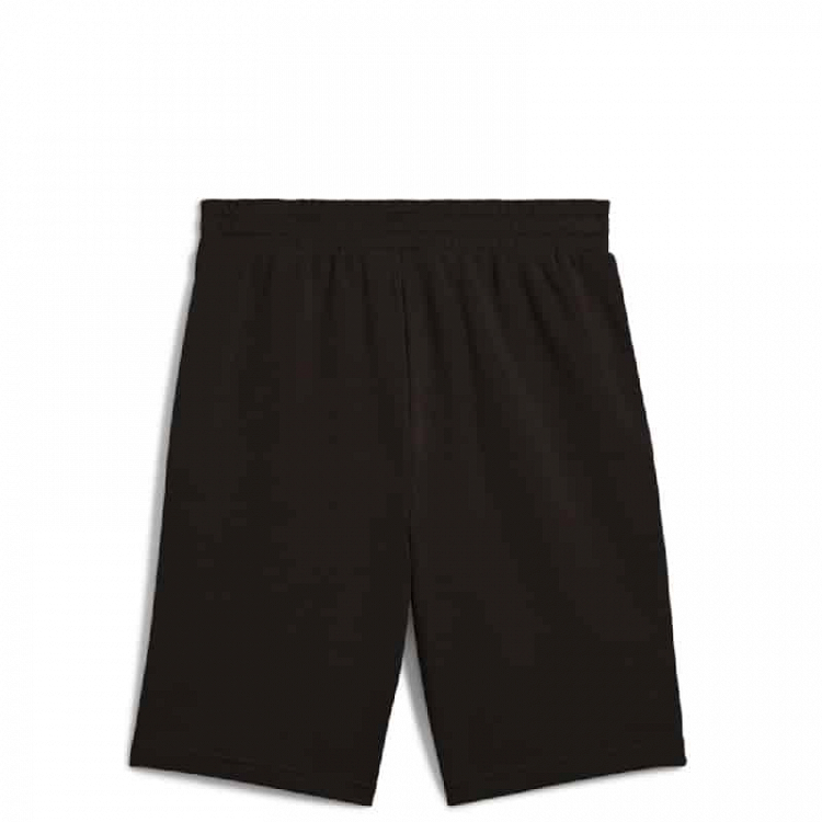 ESS 2 COLOR No. 1 Logo Shorts 10" TR