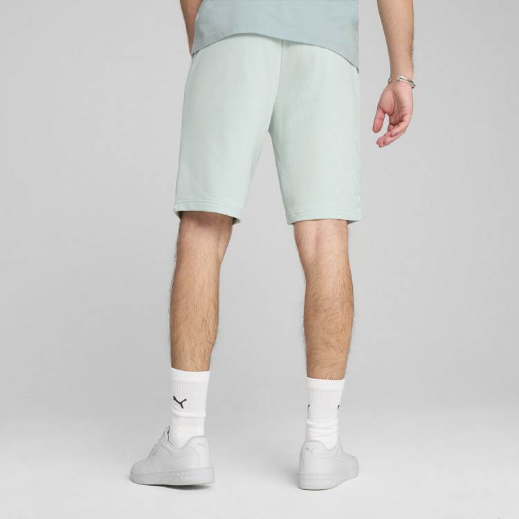 ESS 2 COLOR No. 1 Logo Shorts 10" TR