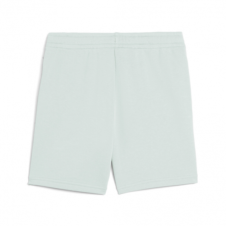 ESS 2 COLOR No. 1 Logo Shorts TR B