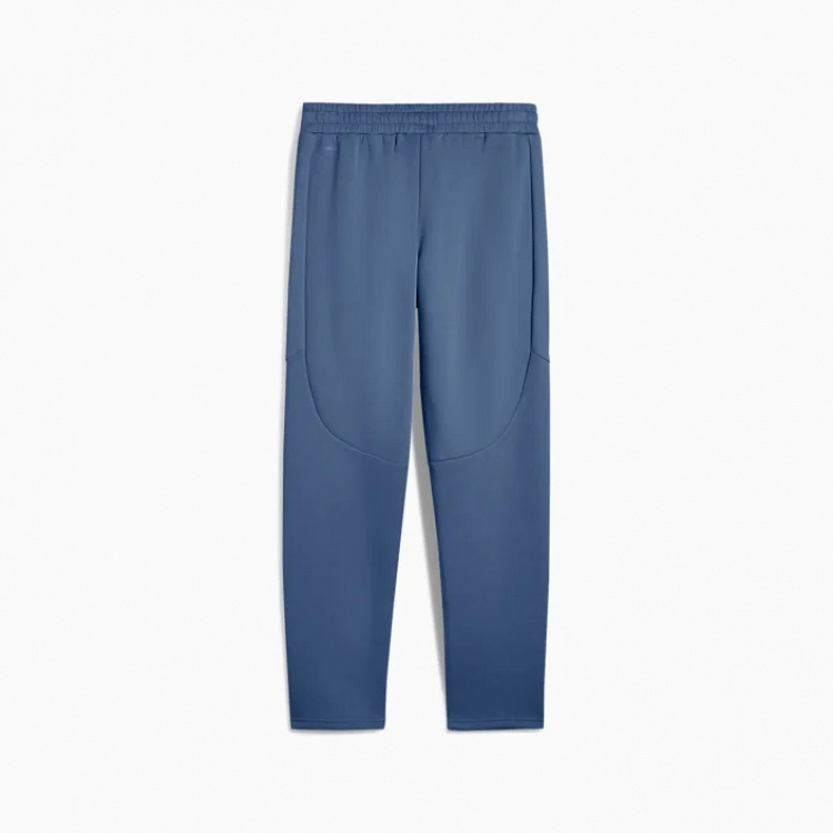 EVOSTRIPE Pants DK