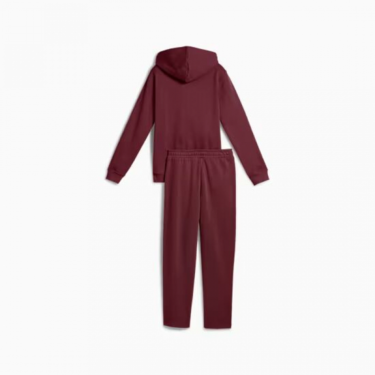 Metallic Hooded Sweat Suit FL G