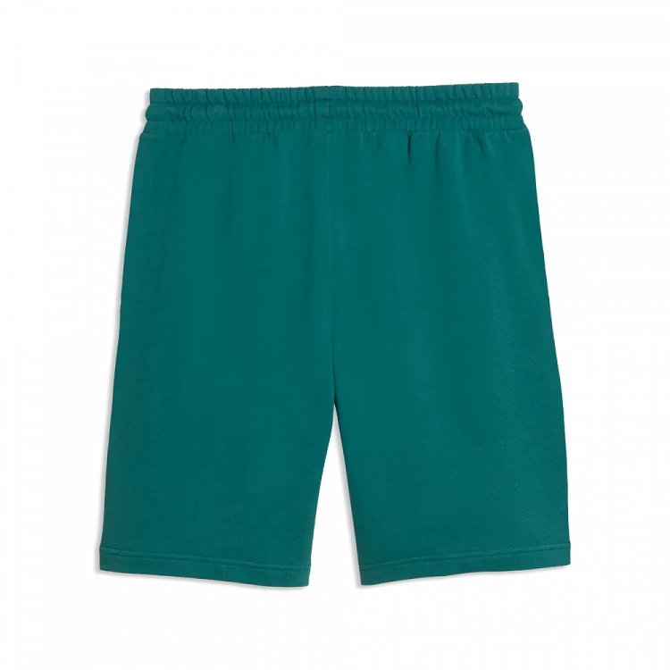 ESS ELEVATED Shorts 9" TR